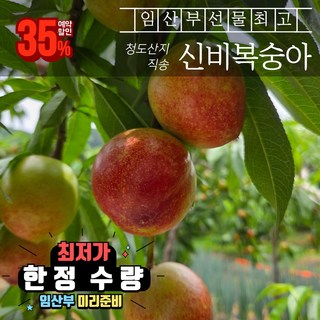 임산부 선물 청도 천도복숭아 신비 복숭아(2.5kg) 입덧복숭아 태아성장 간식, 1박스, 2.5kg