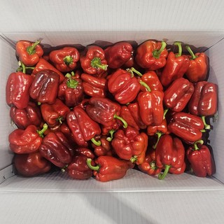 클릭마켓 국내산 홍피망 못난이, 1개, 2kg