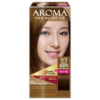 에네스티 아로마 염모제 멋내기용, 5/3 자연스런 금갈색, 1개
