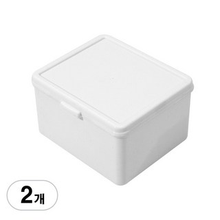 BenF Case 포토카드 보관함 하드 케이스 플라스틱 보관 정리함 수납함 다꾸 스티커 정리함 소품 문구 아이돌 다용도, 중형, 2개
