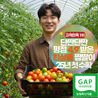 [평점4.9] 삼시세끼연구소 햇 부산 대저토마토 짭짤이 대저짭짤이 토마토 당일수확 산지직송, 1개, 2.5kg(S~2S특품)