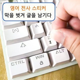 전사 스티커+영문 키보드 스티커+핀셋 증정, 1개, 흰색