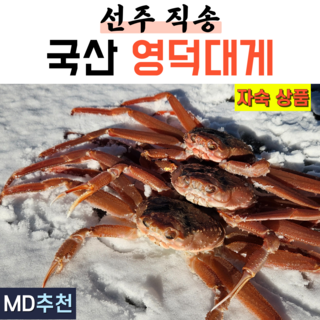 국산 프리미엄 영덕대게 자숙 대게 구룡포 게 대개 3마리 5마리 제철, 1박스, 대 10~10.5cm 3마리