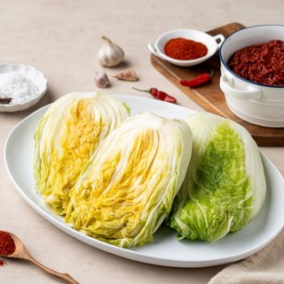 김장세트(절임배추 5kg + 김치양념 2kg) 보성녹차김치 국내산 전라도 김치양념 김장재료