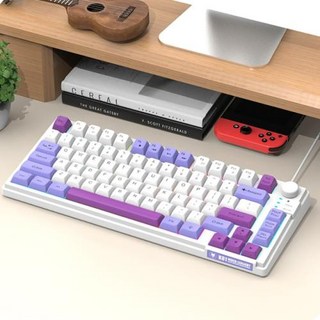 게이밍키보드 USB 미니 슬림 기계식 게임용 유선 81 키 레이아웃 3 색 키캡 컴퓨터용, 없음, 없음, 3) C