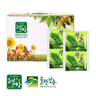 부추즙 상품
