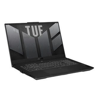 ASUS TUF F17 FX707VV4-LL017