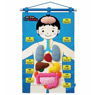 청양토이 벽걸이 교육교재 차트 소중한 나의 몸속(IN BOBY) 42 x 56cm 1개 상품 이미지