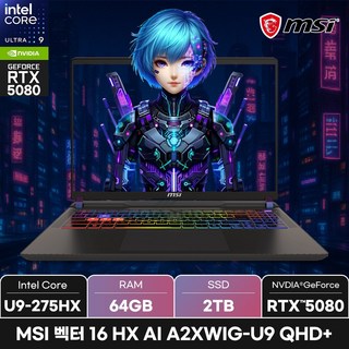 2. MSI 벡터 1..