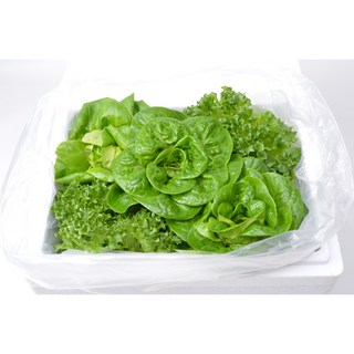 팜토리 무농약 유러피안 샐러드 야채 모듬 600g 1kg, 1kg (최소 3종 이상), 1개