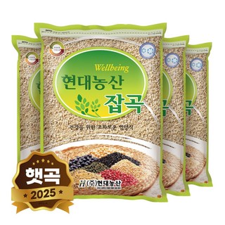 현대농산 국산 할맥 1kg, 4개