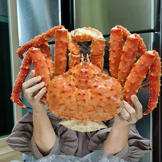 최상급 러시아 프리미엄 블루킹크랩(살수율 90% 이상), 1개, 2.5kg
