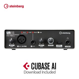 Steinberg UR12 USB 오디오 인터페이스