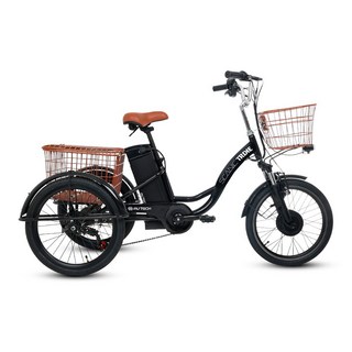 AU테크 스카닉 트라이크 세발 삼륜 전기자전거 36V 10Ah, 블랙, 스틸