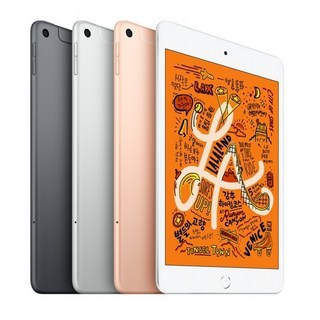 Apple iPad mini 5세대, 실버, 64GB, Wi-Fi+Cellular