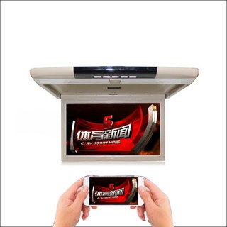 SUV 카니발 팰리세이드 투싼 싼타페 천장 모니터