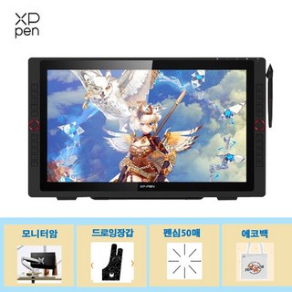 XP-PEN 엑스피펜 Artist 22R Pro