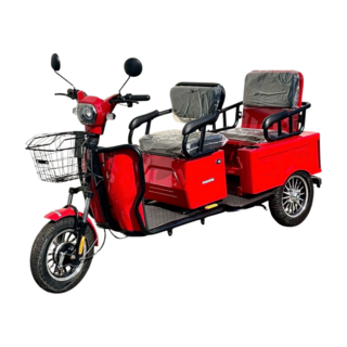 1. 스쿠터 3륜전동..