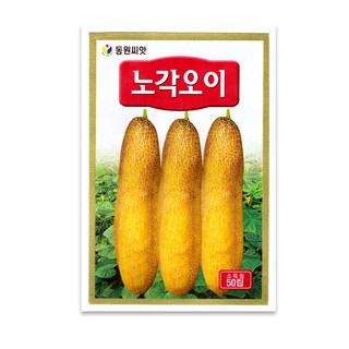 모칸도 동원 노각오이