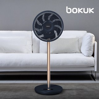 보국전자 에어젯 BLDC 써큘레이터 BKF-3022PDCB