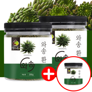 엄마애손 와송환 250g 3통 세트 (총 750g) 생와송