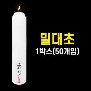 밀대초 밀초