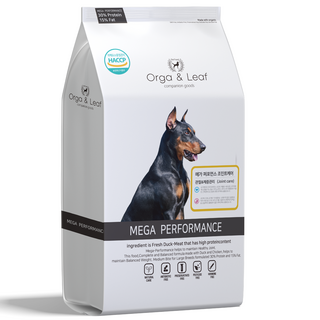 오가앤리프 조인트케어 사료