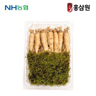 풍기신선수삼17~20편 (믹서)1kg PET포장 풍기인삼농협, 풍기 신선수삼 17~20편(믹서) 1kg [친환경 PET포장], 20개