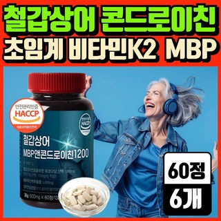 철갑상어 콘드로이친 1200 식약청 인증 mbp 유단백추출물 H.딜리버리, 6개, 60정
