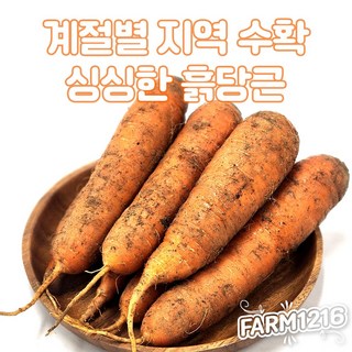 국내산 햇 흙당근 생식용 요리용 특품, 1개, 10kg(중)