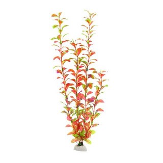 어항꾸미기 백스크린 수족관 탱크 장식품 ca02 40cm 물고기 조경 가짜 물 잔디 수생 시뮬레이션 꽃 잔디 테라리움 플라스틱 장식 j2, 빨간색, m, 1개