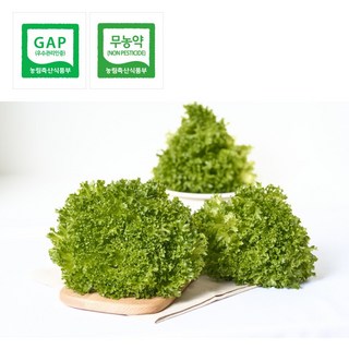 무농약 쌈채소