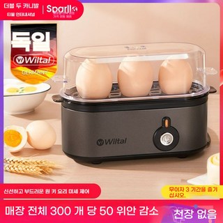 구운계란만들기 이국주찜기