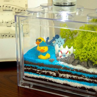 오리의 미니 정원 색모래 테라리움 만들기 DIY 키트, 색모래테라리움