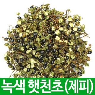 국산 천초 천초나무열매 초피 제피나무 열매, 1개, 100g