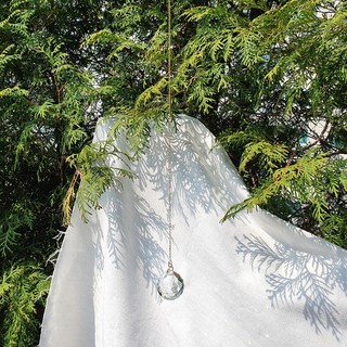 모로하이 퓨어크리스탈썬캐쳐