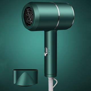 DS 블루 레이 헤어 드라이기 4단 항온 온도조절 4D 블루 레이 9개 팬 블레이드, 블루 레이 헤어드라이기, 그린