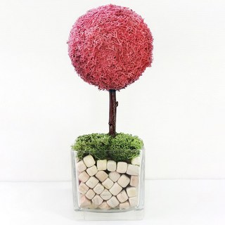 편백모스트리 순록이끼나무 핸드메이드 스칸디아모스