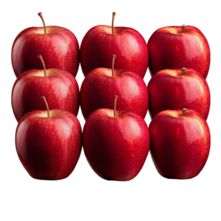 고랭지 재배 가을햇사과 홍로사과 선물세트, 1세트, 5kg(제수용/특대과 14-16과내외+보자기포장)