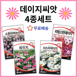 아이데이지 곰돌이 타올 행사 단체 선물포장 답례품 세트