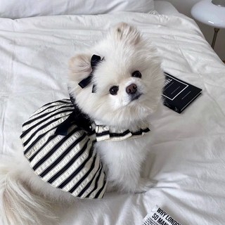 강아지 옷