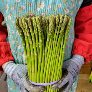 신선한 생 아스파라거스 주문당일 청과도매시장 경매 후 발송 (수입산), 1kg, 1개