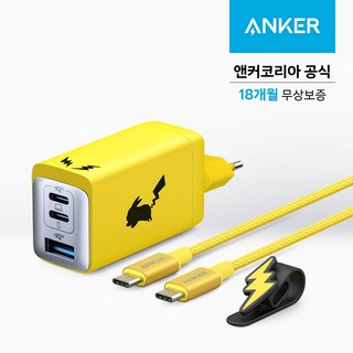 앤커 3포트 65W 피카츄 멀티충전기