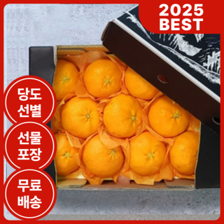 제주직송 고당도 프리미엄 레드향 설 명절 선물세트 당도선별 제주 과일, 1박스, 2.5kg, (대과, 6-10개 내외)