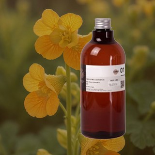 캔들바다 달맞이유 (정제) 비누만들기재료 /달맞이꽃 오일 /베이스오일, [ 500ml ], 1개