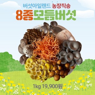 산지직송 당일수확해서 보내는 모듬버섯, 8종모듬버섯, 1개