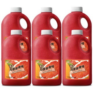 흥국 자몽농축액 1.5L 1박스 6개