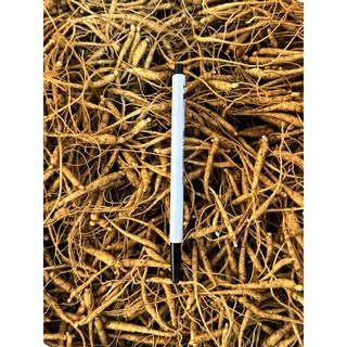25년 인삼 묘삼 달랭이삼 미선별, 1. 1년근 미선별 한채 750g, 1개