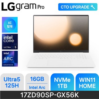 LG전자 2024 그램 Pro 17 코어 울트라 5, 에센스 화이트, 1TB, 16GB, WIN11 Home, 17ZD90SP-GX56K