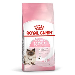 로얄캐닌 고양이사료 베이비캣, 10kg, 1개
